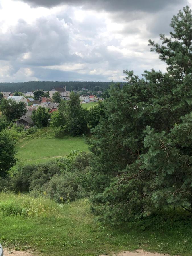 Kraslava City Apartment Bagian luar foto