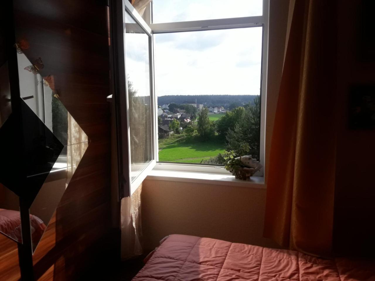 Kraslava City Apartment Bagian luar foto
